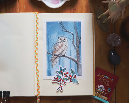 February's Physical Reward – A Winter Reward for My Patrons